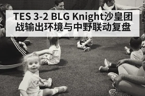 TES 3-2 BLG Knight沙皇团战输出环境与中野联动复盘